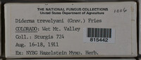 Image Associated With the Occurence